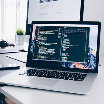 法国女足比赛球队全员备战新赛季