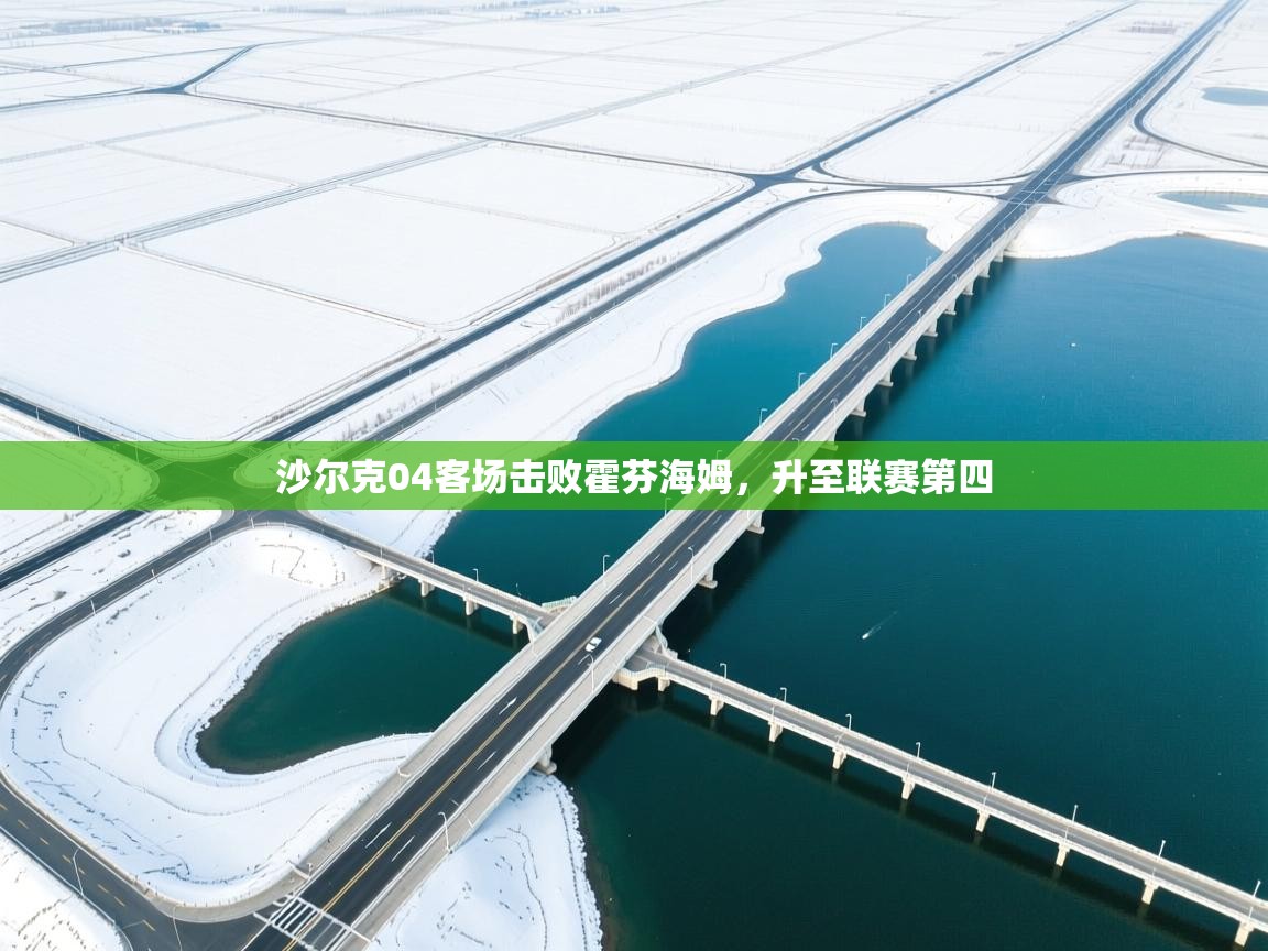 沙尔克04客场击败霍芬海姆，升至联赛第四