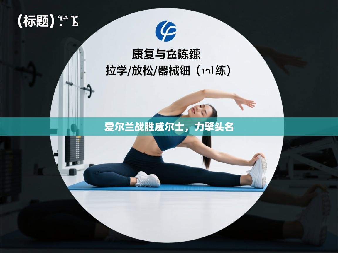 爱尔兰战胜威尔士，力擎头名  第2张